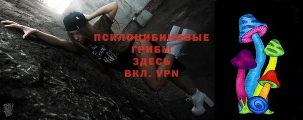 дживик Алексин